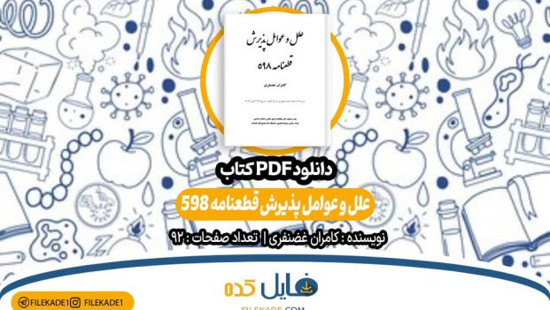 دانلود کتاب علل و عوامل پذیرش قطعنامه 598 کامران غضنفری PDF